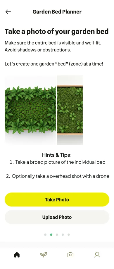 Step 01: Capture & Describe
