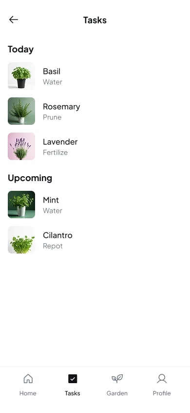 Step 02: Get Personalised Tasks